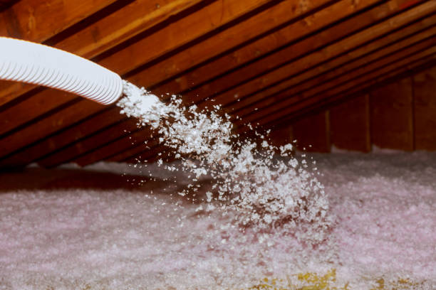 Best Insulation Maintenance and Repair in Salamatof, AK