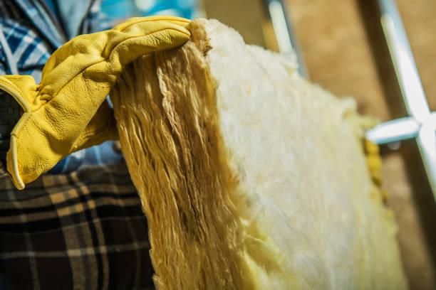 Best Eco-Friendly Insulation in Salamatof, AK