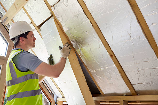 Best Spray Foam Insulation in Salamatof, AK