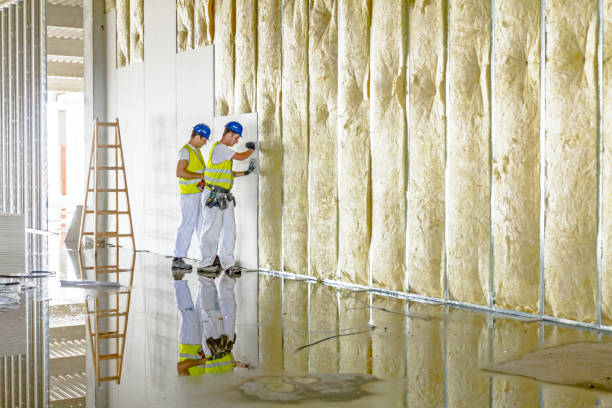 Best Fiberglass Insulation in Salamatof, AK